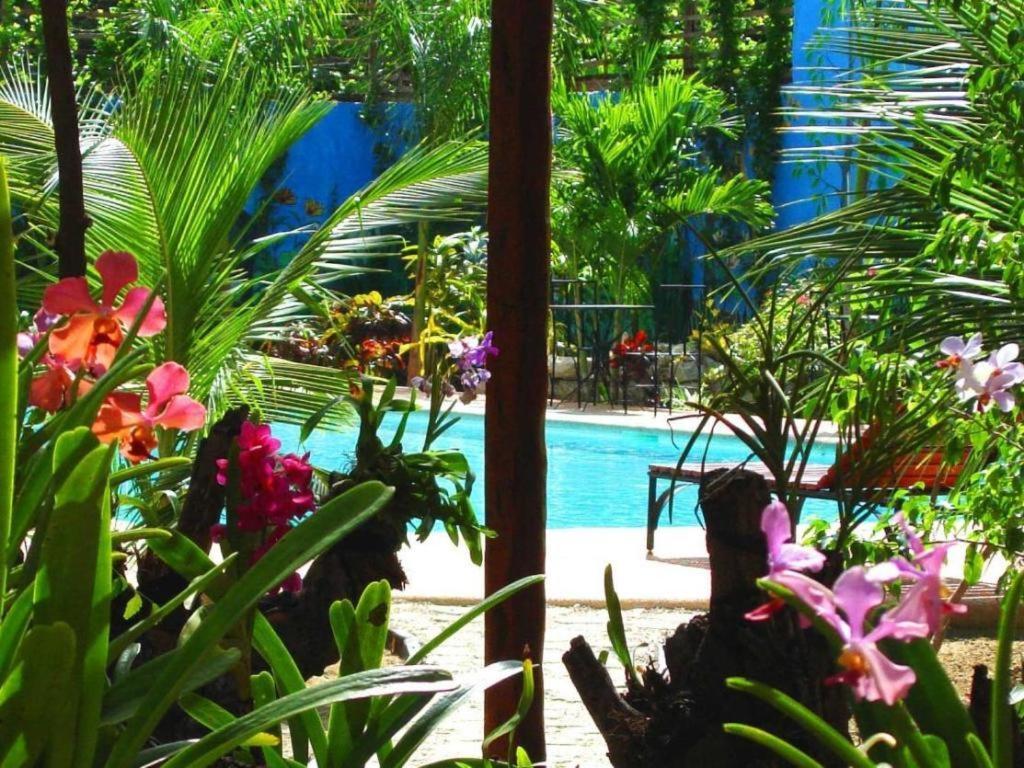 Alta Cebu Resort Exterior photo